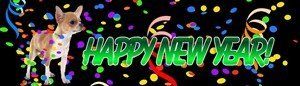 chihuahua-new-year