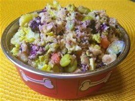 bowl of homemade dog food