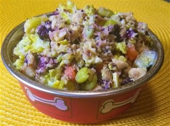 bowl of homemade dog food