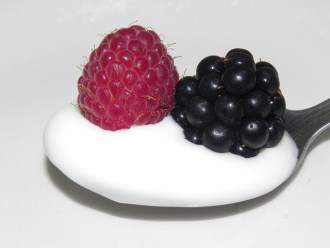 yogurt and fruit for Chihuahua