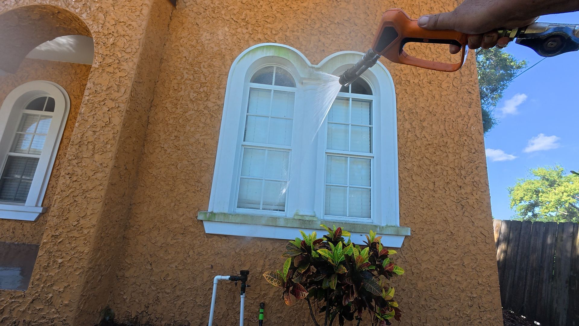 Removing algae from house