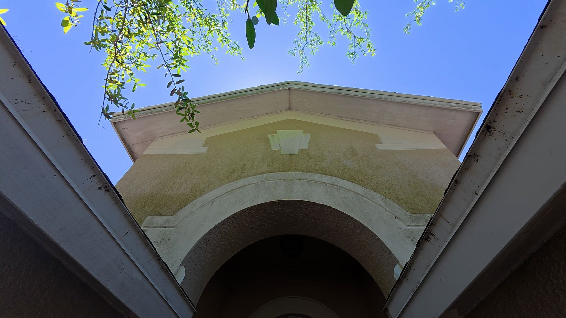 Algae build up on stucco siding