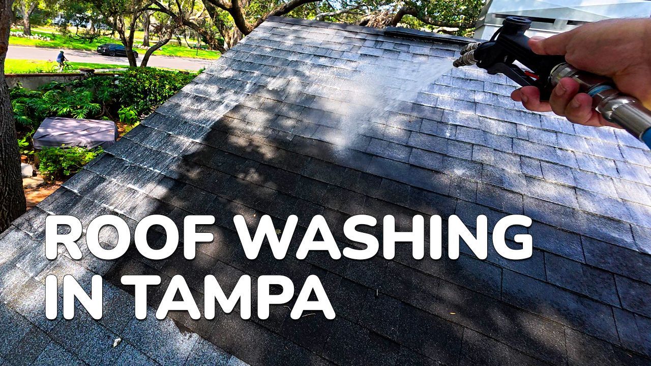 Roof washing using our soft wash process