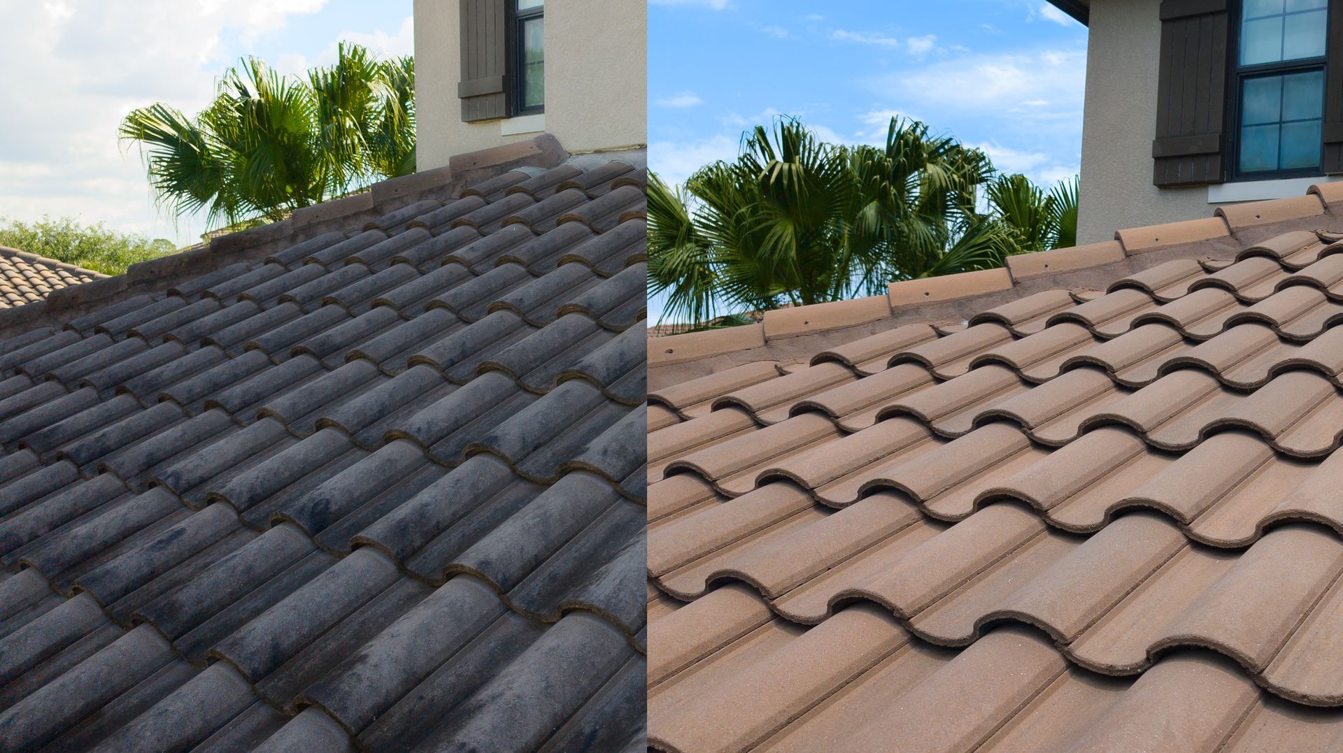 Tile roof before and after soft washing