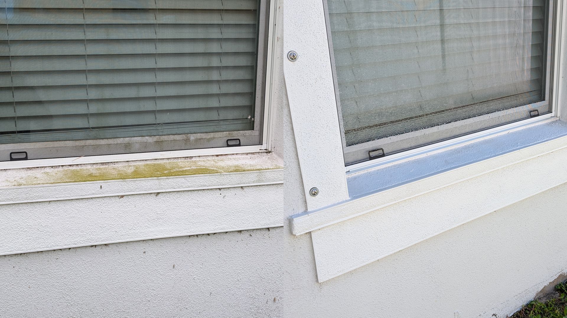 Window sill algae before and after soft washing