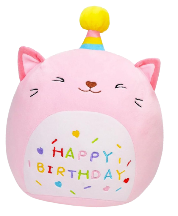 A pink stuffed animal with the words happy birthday written on it