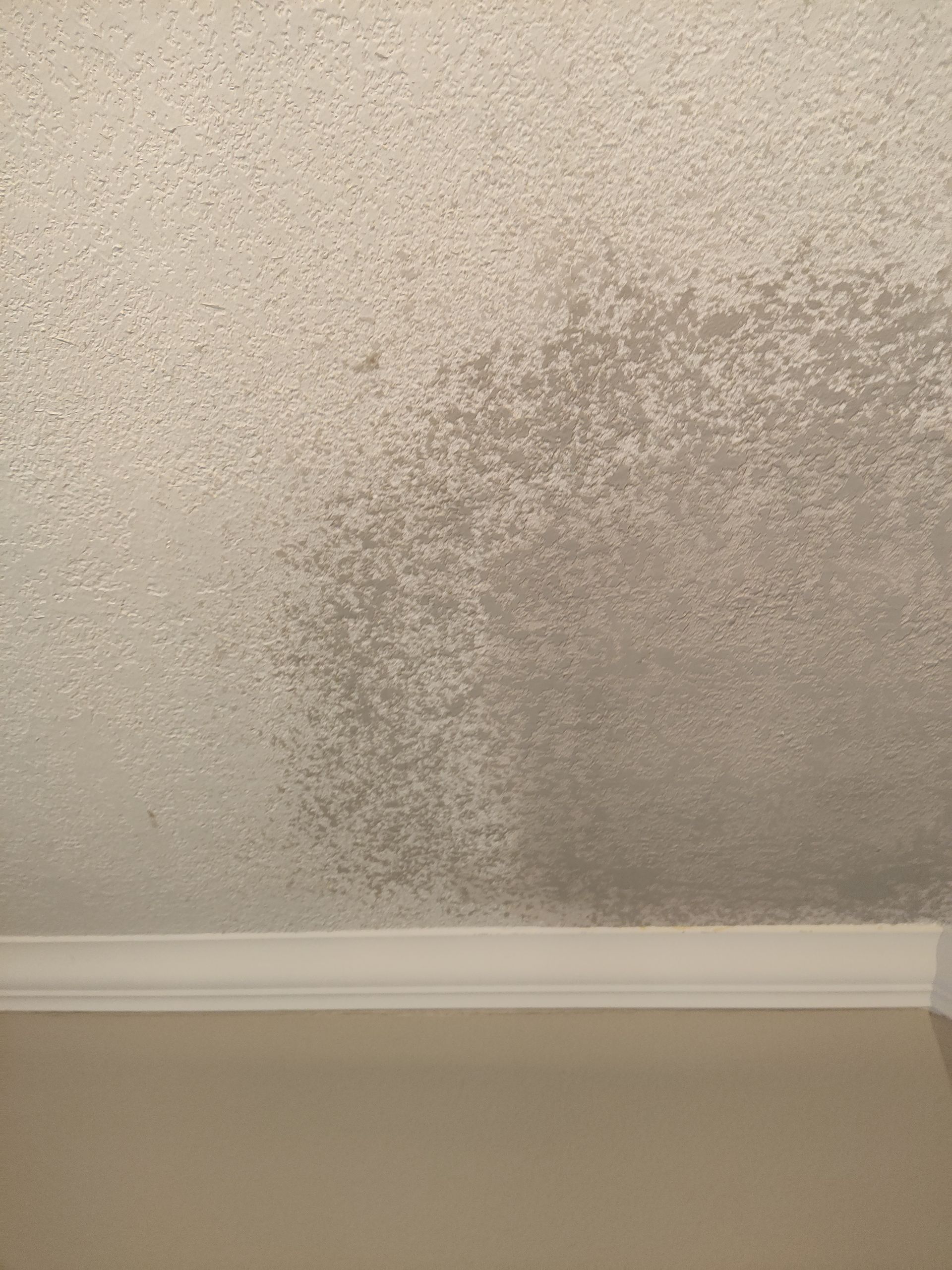 A light-colored textured ceiling with a large, dark circular water stain near the wall molding.