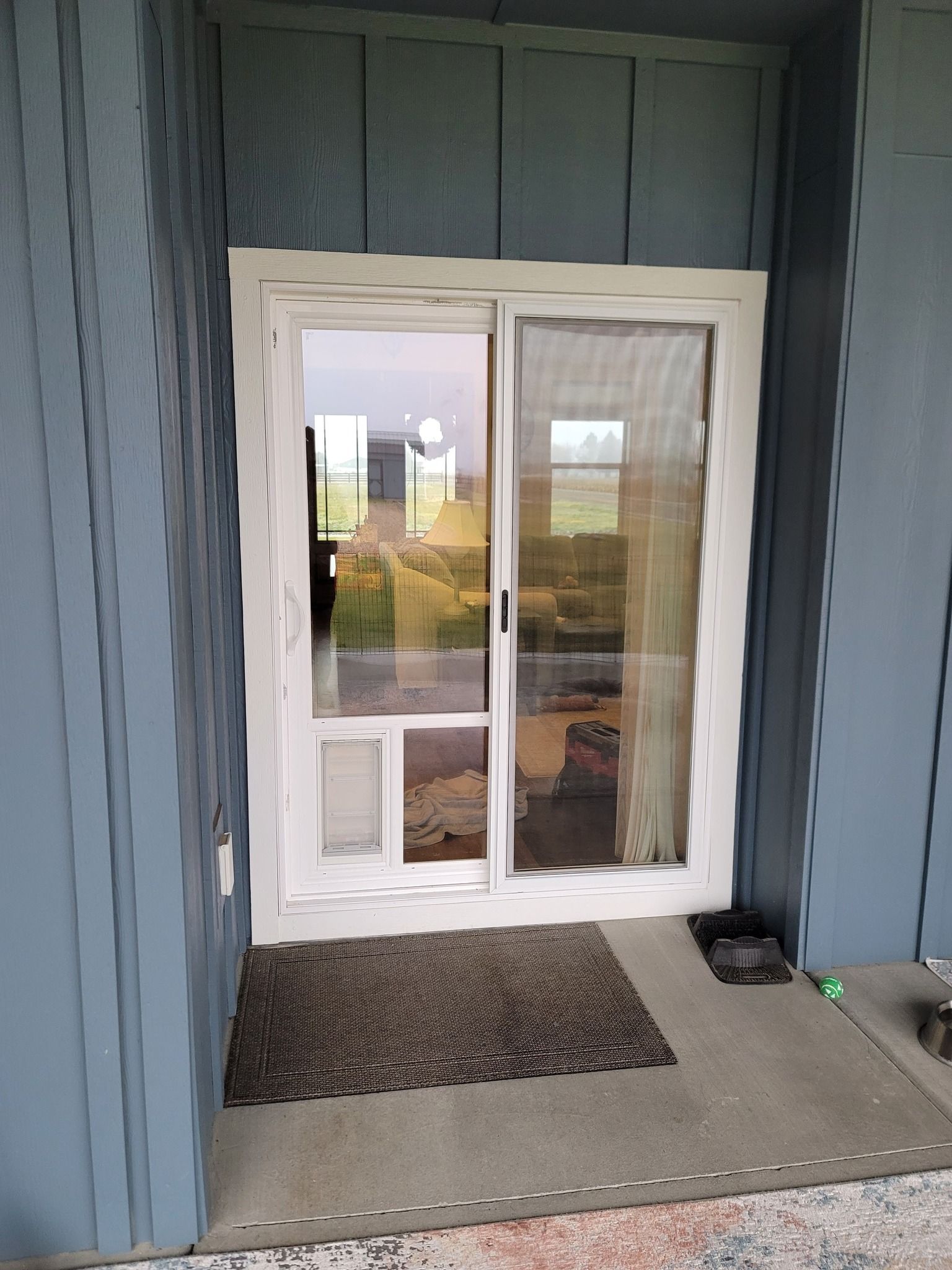 Sliding glass door with built-in pet door. White frame, blue siding, dark rug, reflecting outdoor scenery.