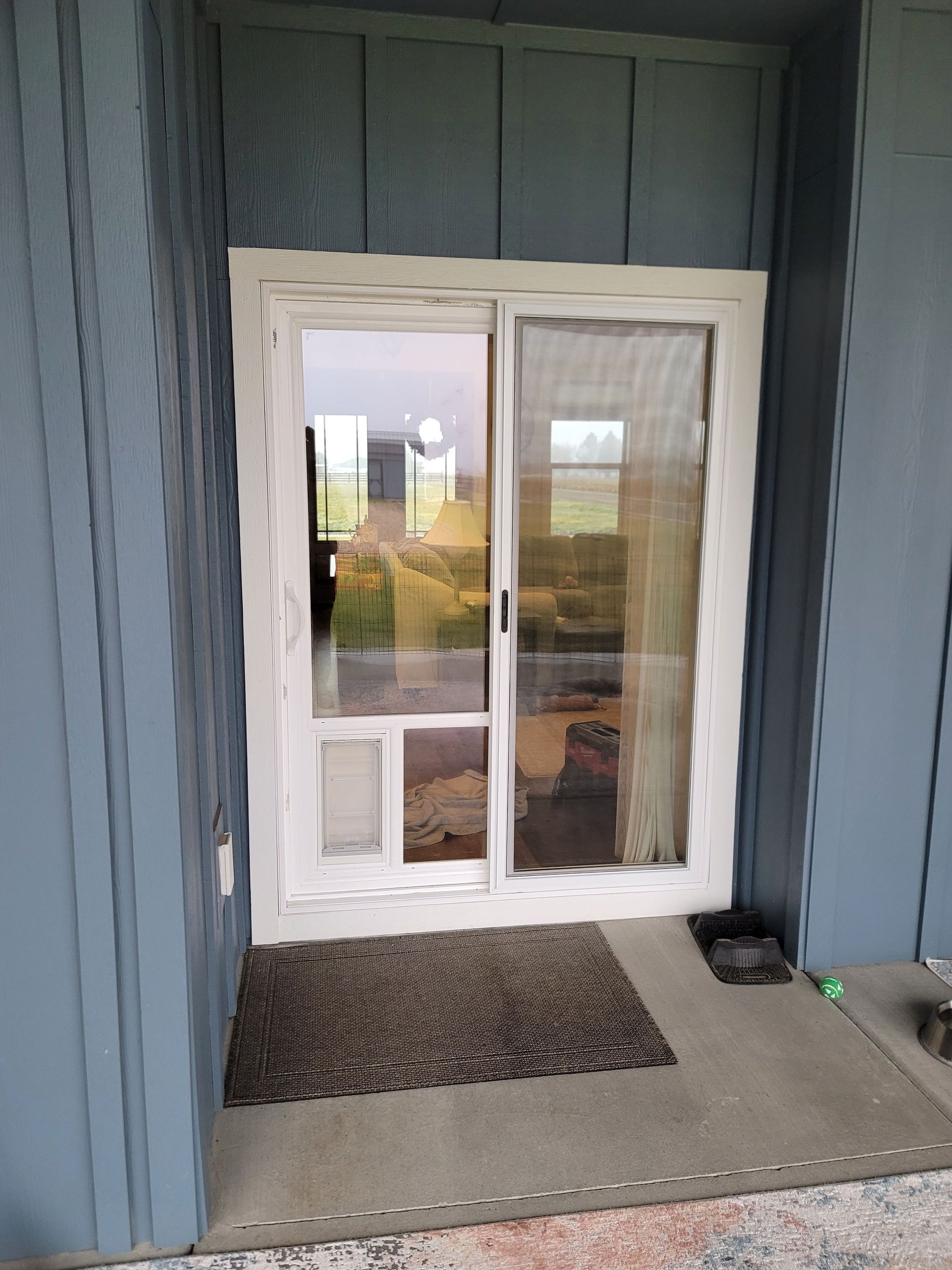 Sliding glass door with built-in pet door. White frame, blue siding, dark rug, reflecting outdoor scenery.
