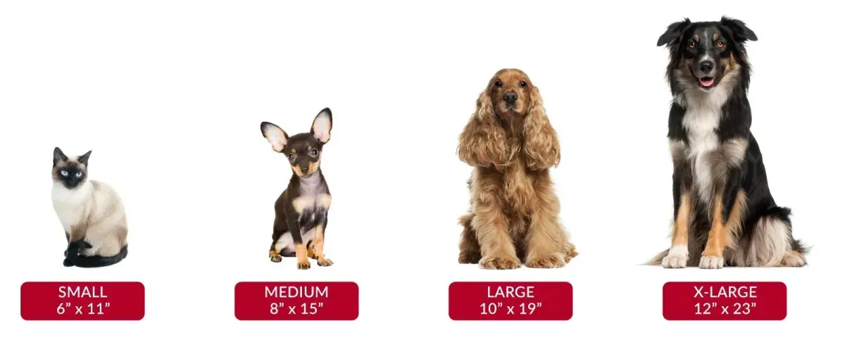 Size guide with a cat and three dogs with corresponding measurements.