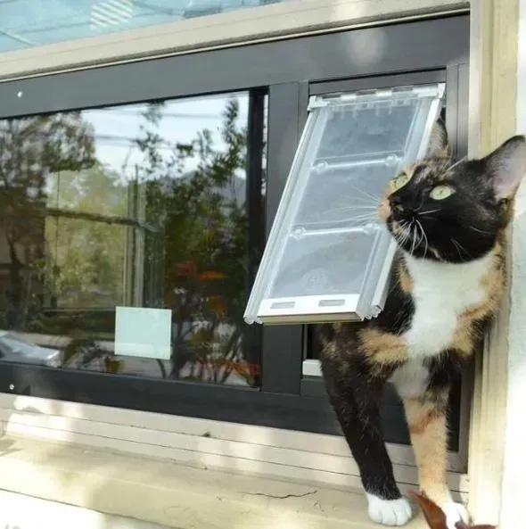 Calico cat exiting a window-mounted pet door, looking upwards. Black window frame, trees visible outside.