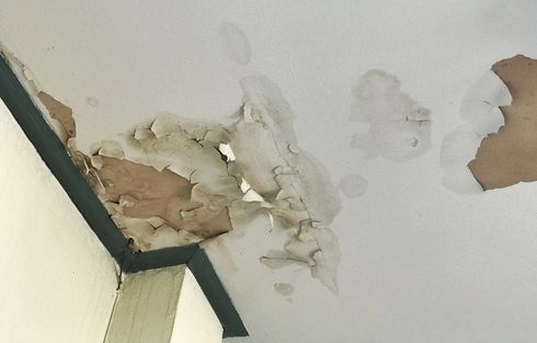 Peeling ceiling paint with water damage and exposed plaster in a corner of a room