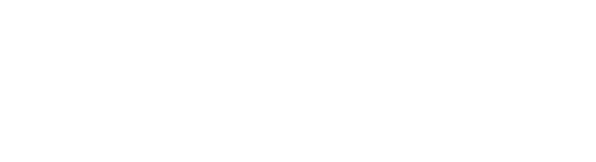 The word seize is written in black on a white background