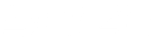 The word seize is written in black on a white background