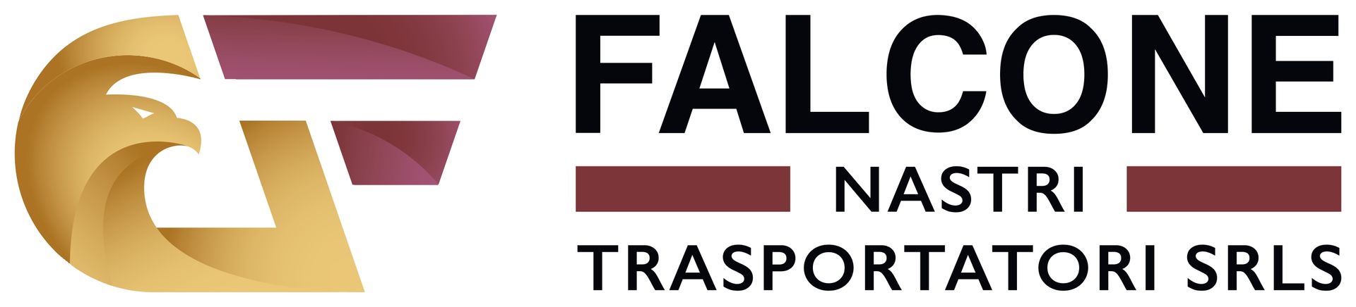 Logo della Falcone Nastri Trasportatori SRLS raffigurante una testa d'aquila stilizzata e il nome dell'azienda.