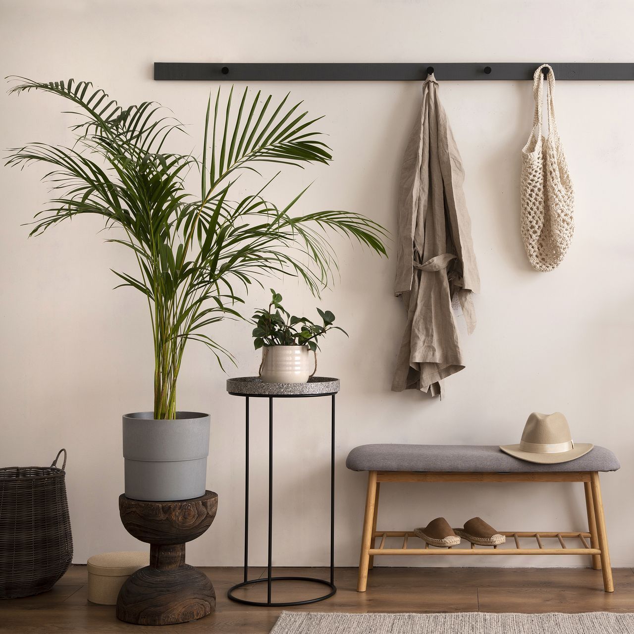 A room with a plant on a table and a hat on a bench