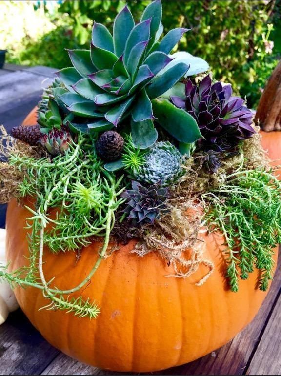 custom thanksgiving floral arrangement