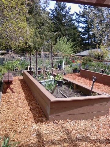 Raised garden beds with mulch pathways and a bench in an outdoor garden setting.