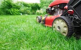Red lawnmower cutting lush green grass in a yard.