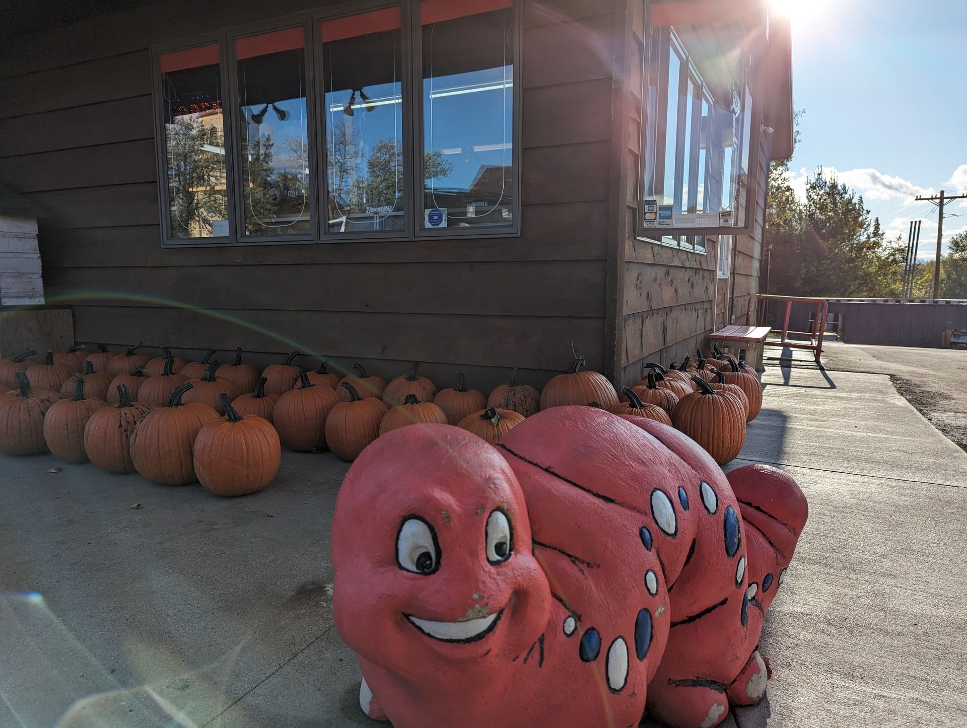 A red caterpillar is sitting in front of a pile of pumpkins.