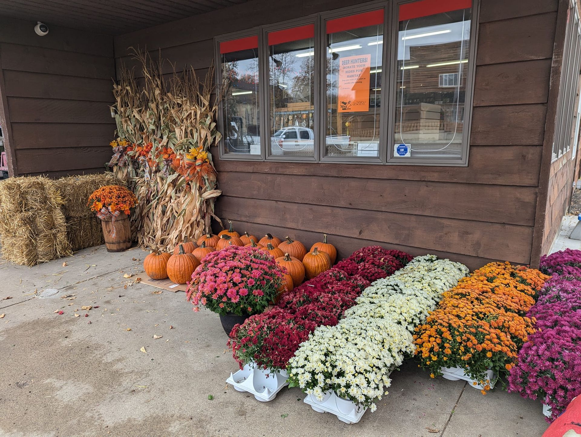 A store front with pumpkins and flowers in front of it