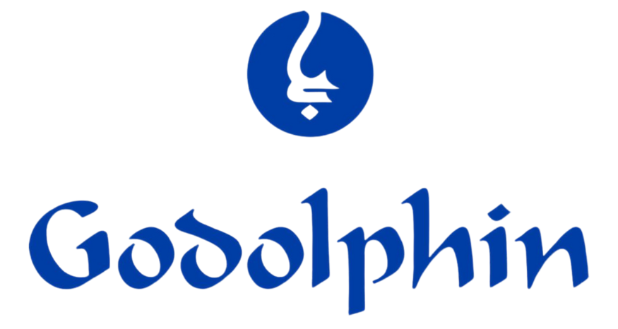 A blue logo for goddolphin with a question mark in the middle