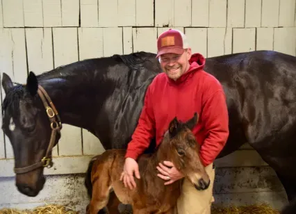 A man in a red sweatshirt is holding a foal next to a horse.