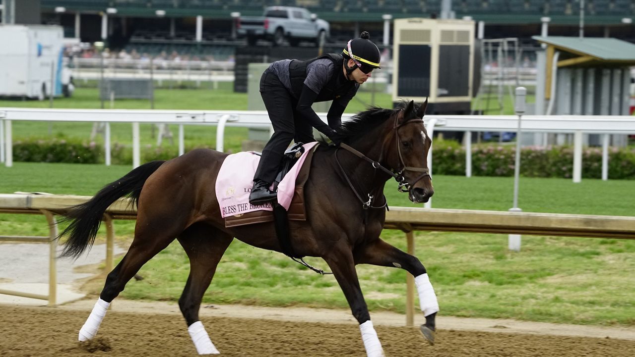 A person is riding a horse on a track.