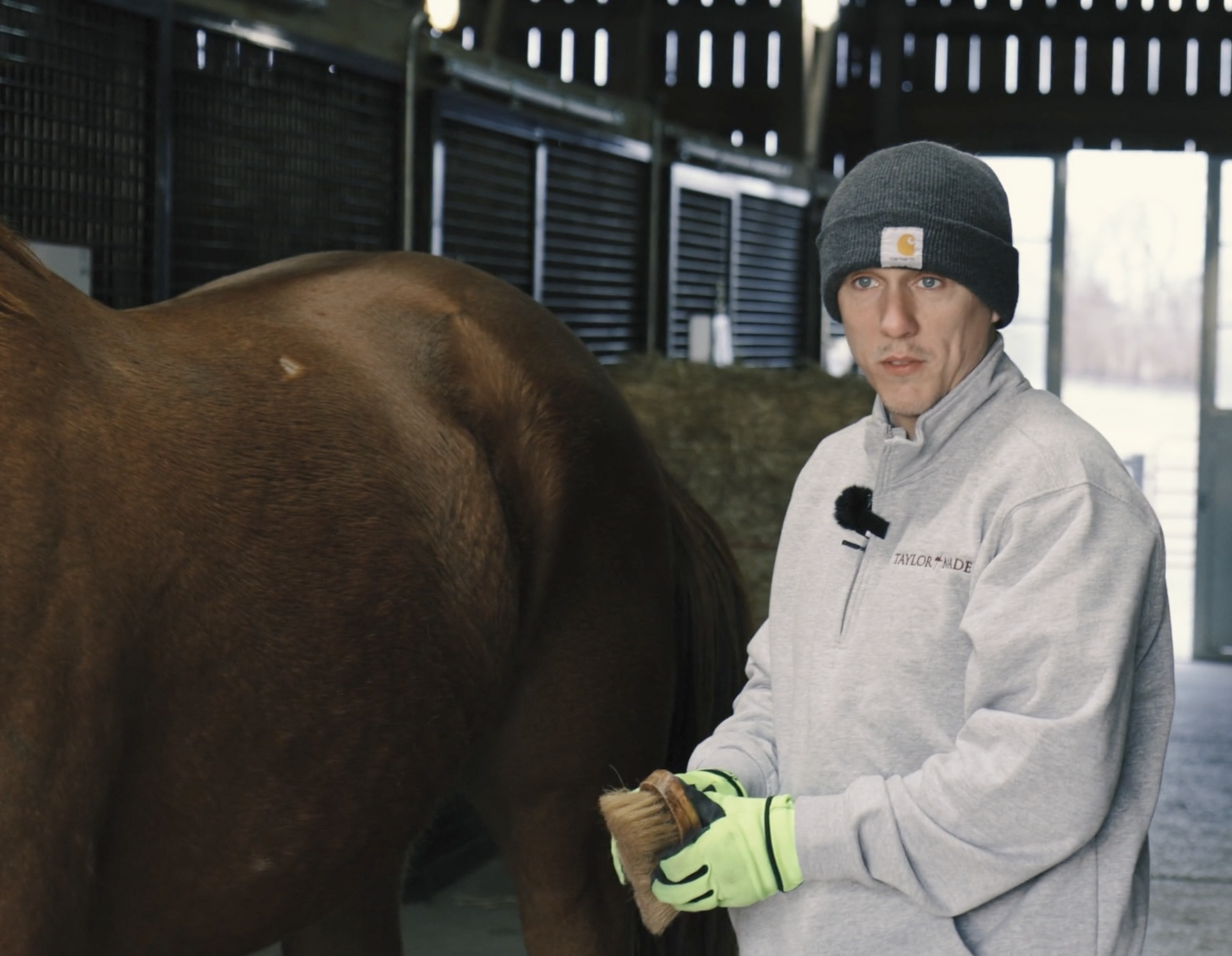 A man standing next to a horse wearing a beanie and gloves