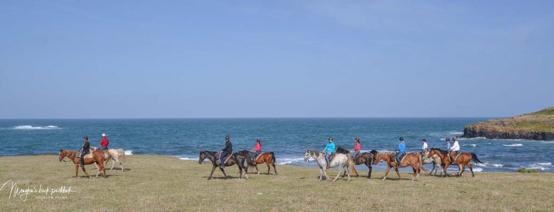 great view with horses