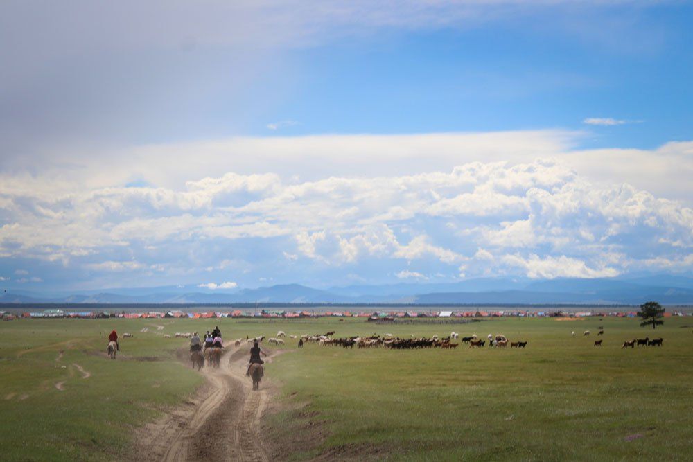 mongolia image