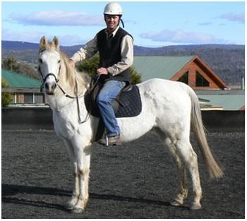 Charlie 12 months later, healed and employed at the Riding for Disabled, Launceston