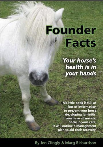 founder facts