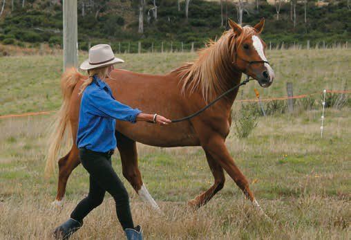 woman walking with a horse