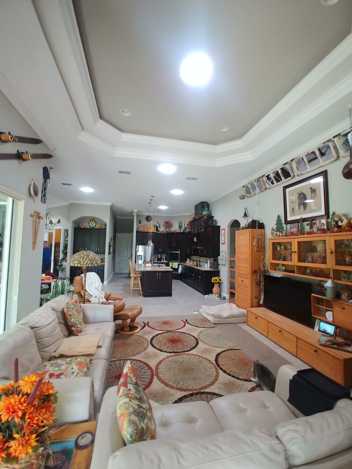 Another Living Room Skylight — Tampa, FL — Yowell’s Roofing