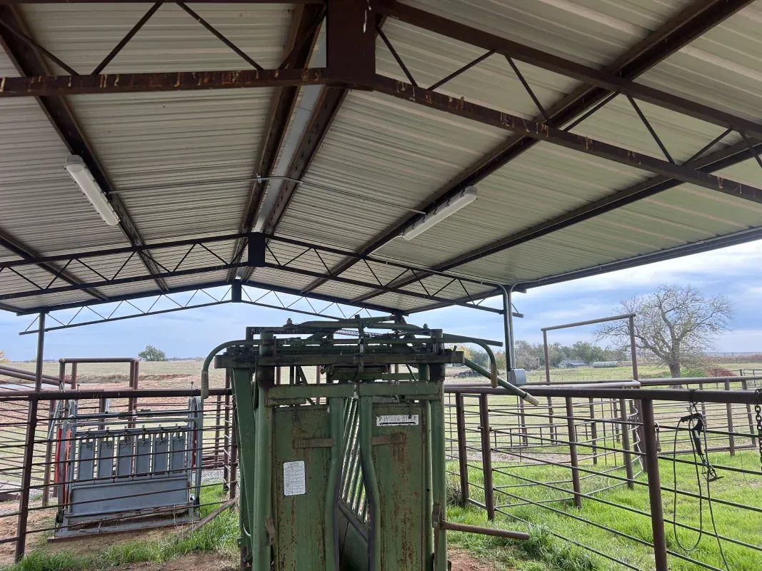 Cattle chute under a metal roof in a ranch setting with fencing and cloudy sky.