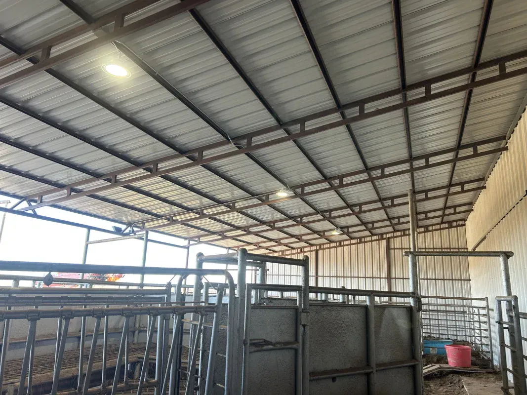 Inside a barn: Metal roof, metal pens, and a glimpse of the outside.