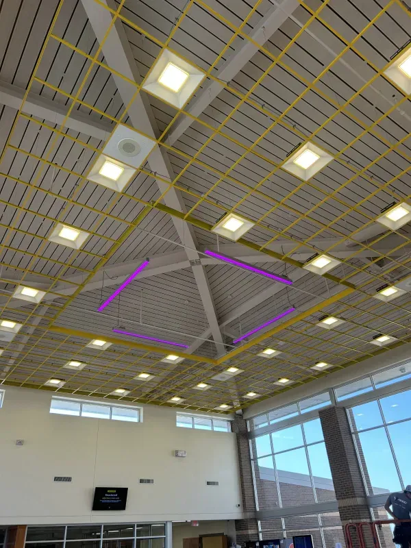 Gymnasium ceiling with yellow grid, square lights, and large windows. Purple highlights.