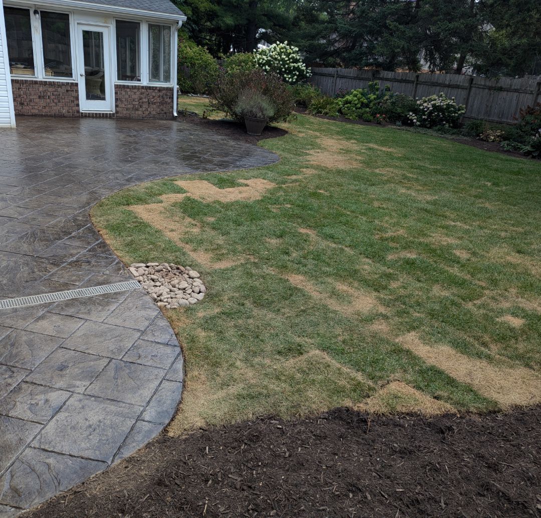 Lawn with brown patches next to a patterned patio and a house with a sunroom.