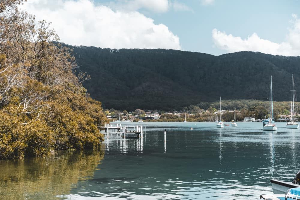Scenic View at Dunbogan Boatshed — Town & Country Removals In Camden Haven, NSW