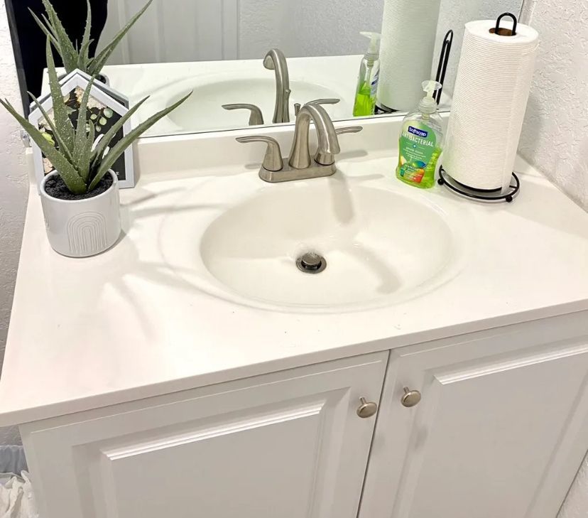 A bathroom sink with a plant and a paper towel holder. BEFORE/AFTER