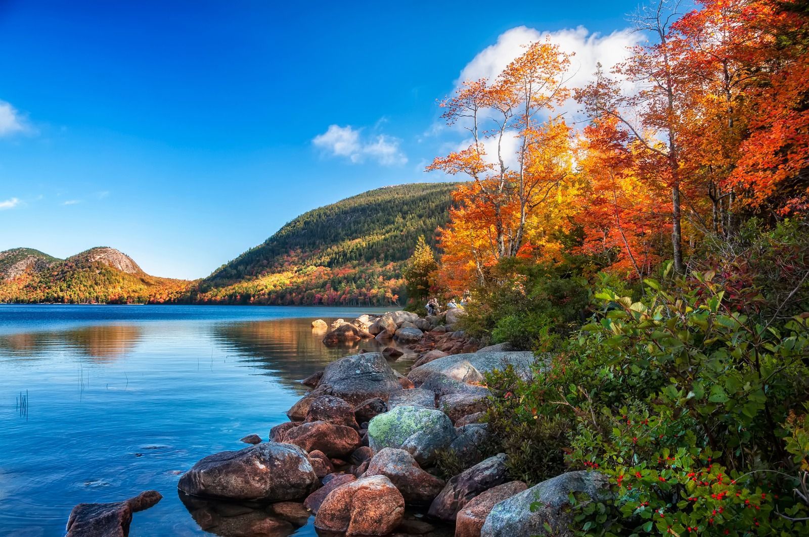 Lakeside view in autumn: colorful foliage, rocky shore, calm water, and blue sky.