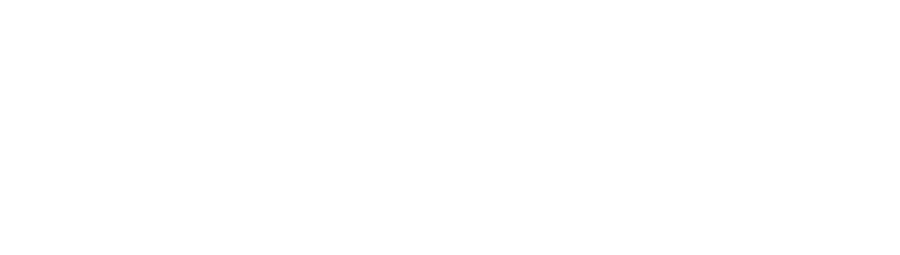 Birmingham logo white