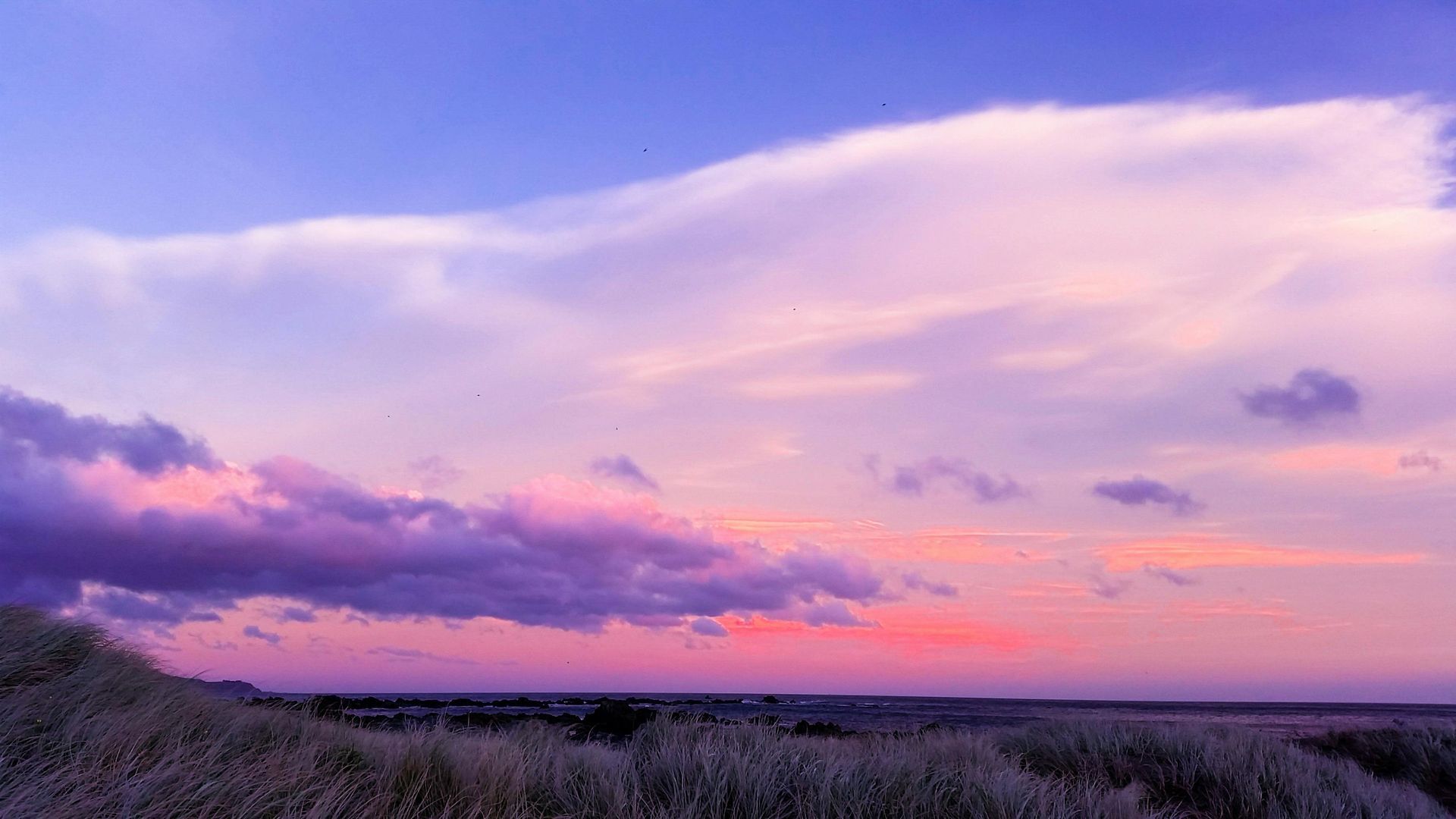 Pink and purple sunset over grassy dunes and horizon line, with clouds in the sky.