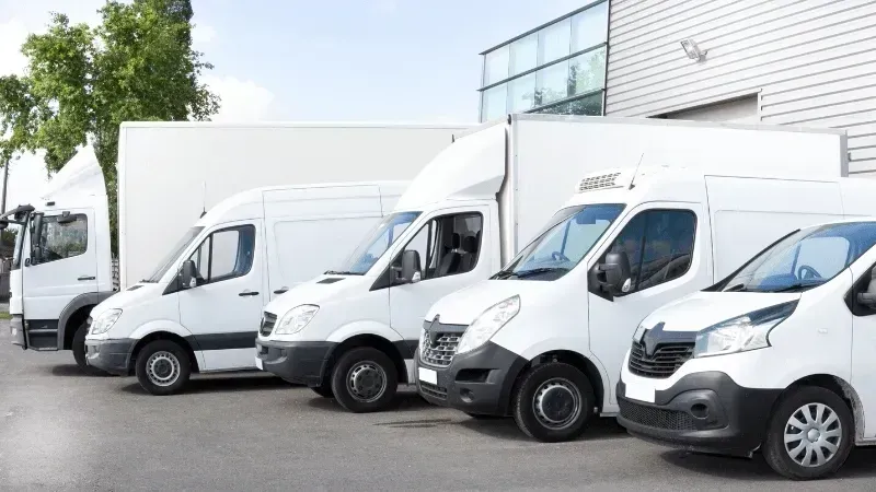 White delivery vans parked in a row outside a building on a sunny day.