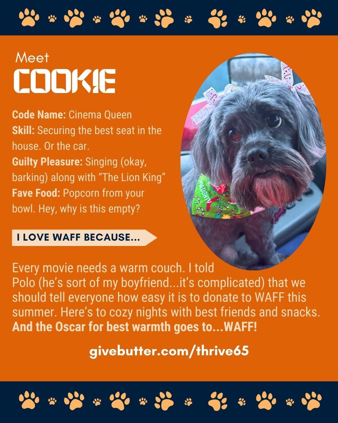Dog named Cookie with text about WAFF (Warm Animal Friends Forever) and donation info. Orange background.