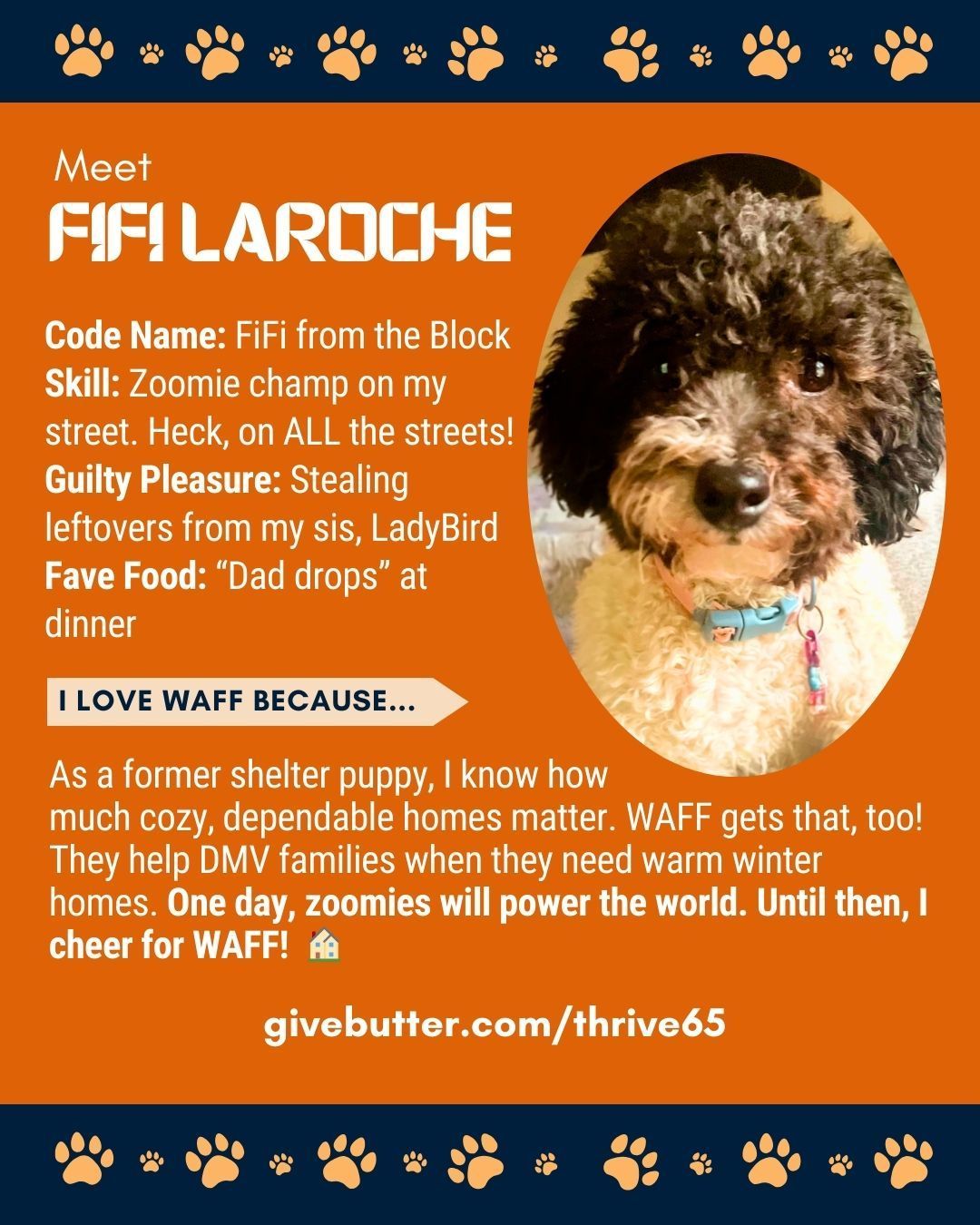 A dog named Fifi Laroche with text about her and a call to support WAFF, a charity for families.