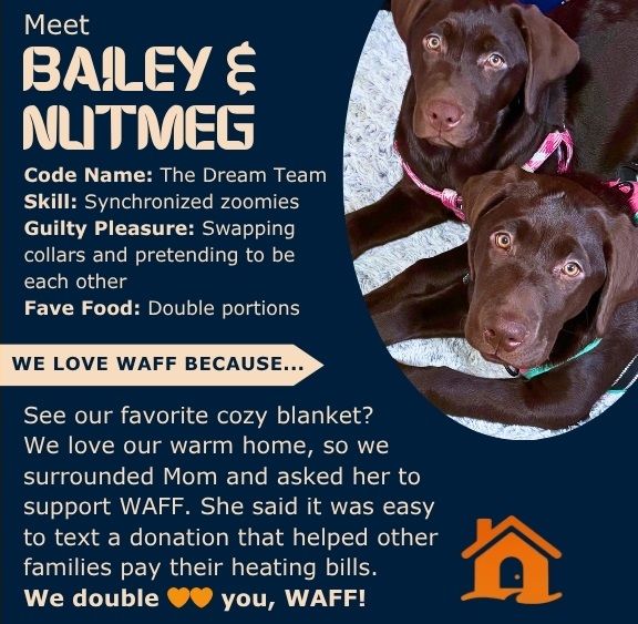 Two chocolate labs named Bailey and Nutmeg promote WAFF charity with text and a warm home icon.