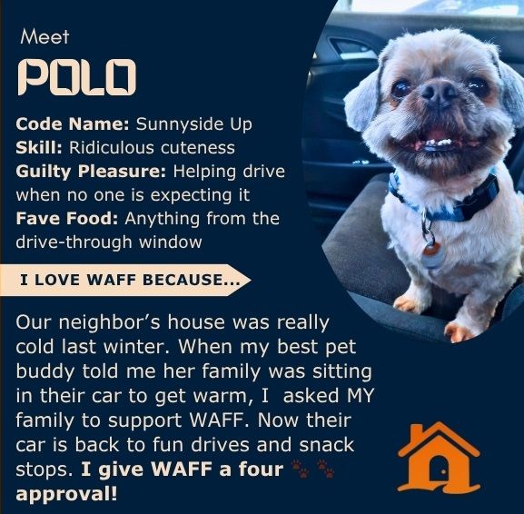Polo the dog's WAFF review: Adorable dog with text about helping neighbors stay warm, gives WAFF a four-star approval.