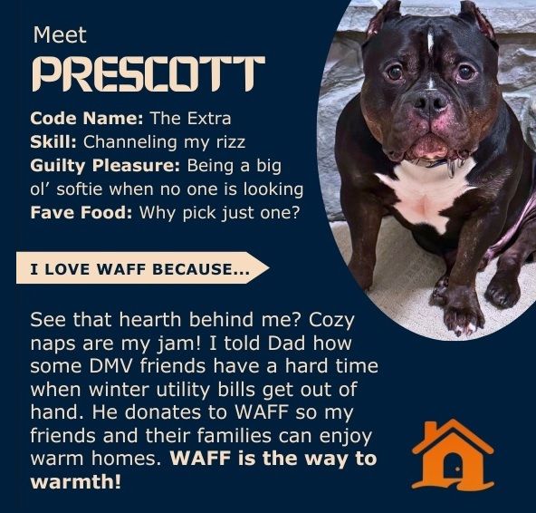 Dog Prescott promoting WAFF, a program providing warmth. He's black/white, cozy with a hearth, promoting donations.